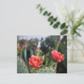 Cactus Flowers Red Pink Blooms Briefkaart (Staand voorkant)