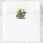  Cactus Flowers, Succulent Cacti-Planten Vierkante Sticker (Tas)