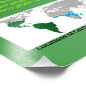 Cactus Foto Afdruk (Hoek)