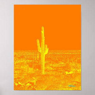 Cactus Fotokunst Sinaasappel Geel Arizona Desert F Poster