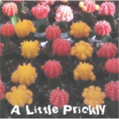 Cactus Fruit Sticker (Voorkant)