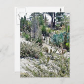 Cactus Garden in het park Balboa Briefkaart (Voorkant / Achterkant)