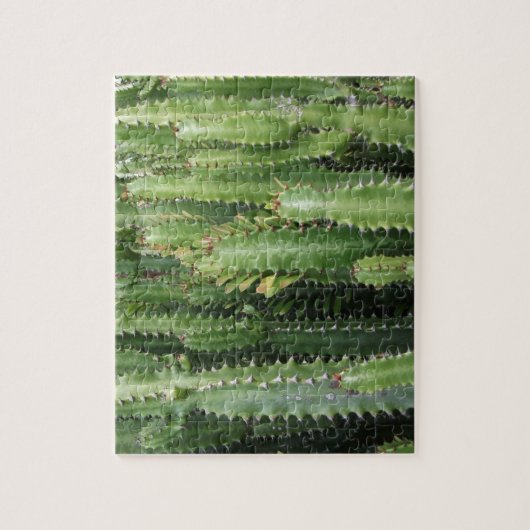 Cactus Garden Legpuzzel (Verticaal)