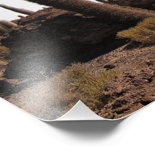 Cactus géant à l'impression photo du Salar de Uyun (Coin)