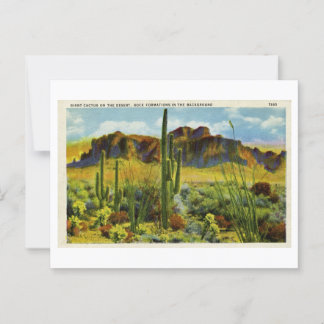 Cactus géant dans le désert Carte postale Vintage 