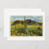 Cactus géant dans le désert Carte postale Vintage (Devant / Derrière)