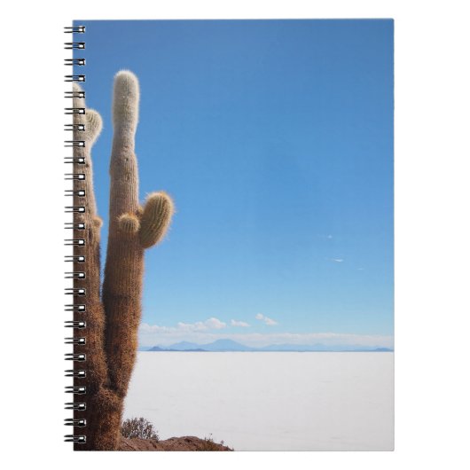 Cactus géant sur le carnet de Salar de Uyuni (Devant)