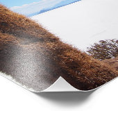 Cactus géant sur l'empreinte photo du Salar de Uyu (Coin)