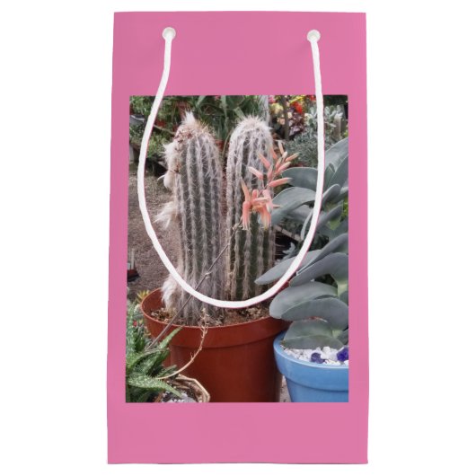 Cactus Gift Bag Klein Cadeauzakje (Voorkant)
