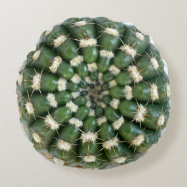 Cactus gooien kussen