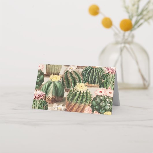 Cactus Illustration Place Card (Voorkant)
