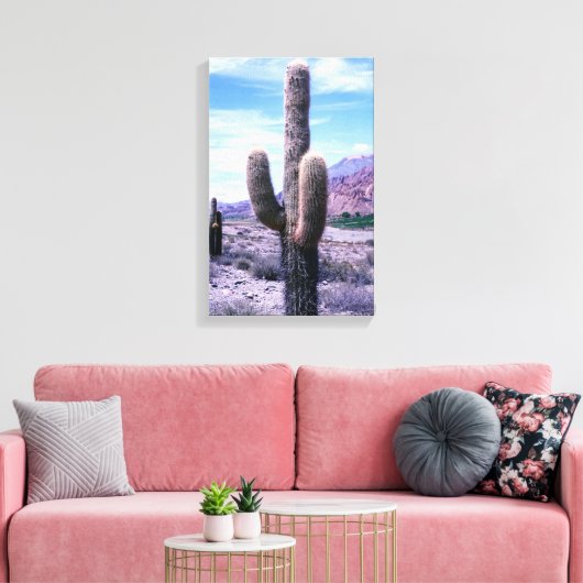 Cactus in de provincie Jujuy - Noord-Argentinië Canvas Afdruk (Insitu (Woonkamer))