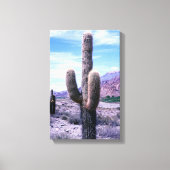 Cactus in de provincie Jujuy - Noord-Argentinië Canvas Afdruk (Voorkant)