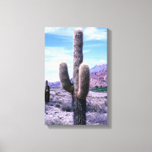Cactus in de provincie Jujuy - Noord-Argentinië Canvas Afdruk
