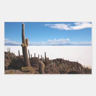 Cactus in de rechthoekige sticker Salar de Uyuni