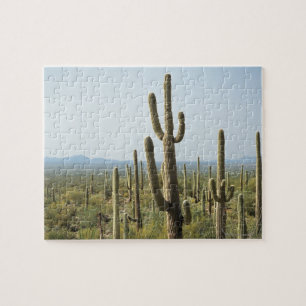 Cactus in het Nationaal Park Saguaro, Arizona 2 Legpuzzel