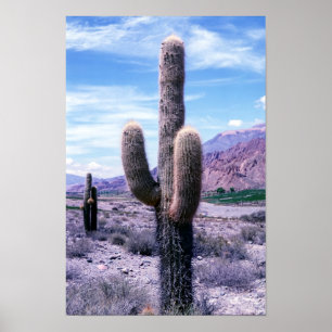 Cactus in Jujuy provincie - Noord-Argentinië. Poster