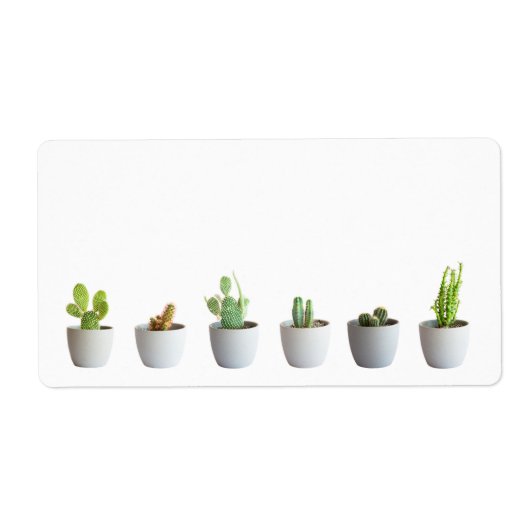 Cactus in potten etiket (Voorkant)