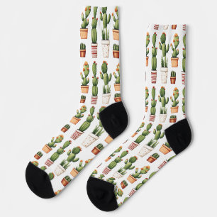 Cactus in potten met bloemen sokken