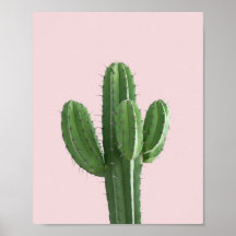Cactus in roze