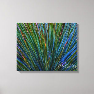 Cactus in Turquoise Canvas Afdruk