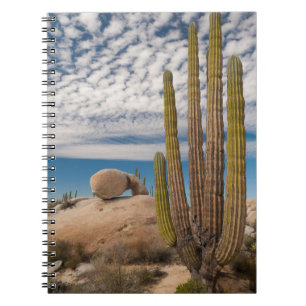 Cactus in woestijn landschap notitieboek