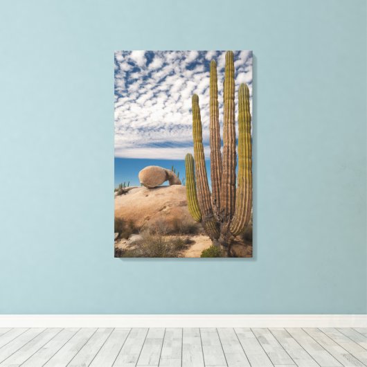 Cactus in woestijn Schilderachtig Canvas Afdruk (Insitu (Houten vloer))