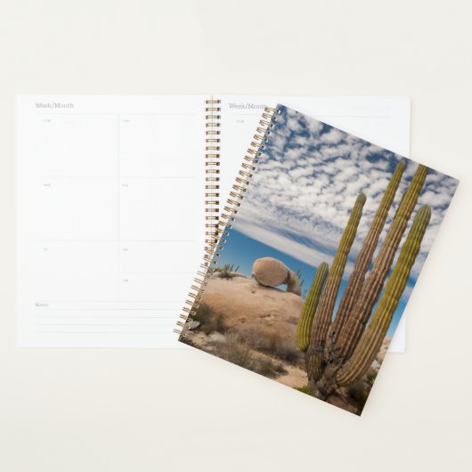 Cactus in woestijn Schilderachtig Planner (Display)