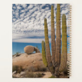 Cactus in woestijn Schilderachtig Planner (Achterkant)