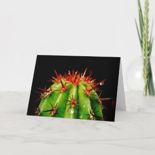 Cactus Kaart