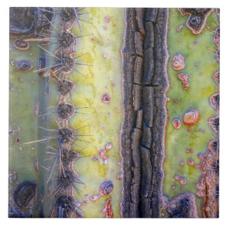 Cactus Macro Ceramic Tile Tegeltje