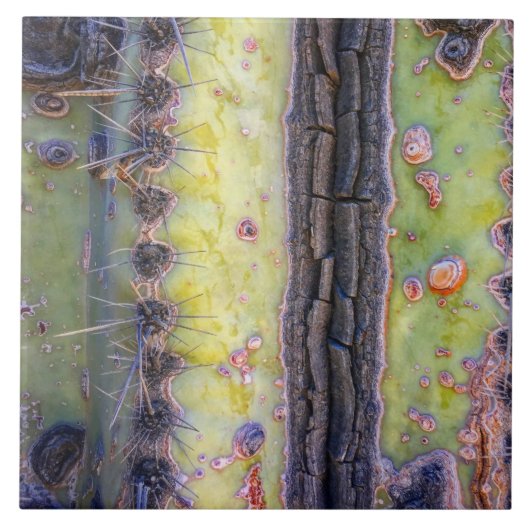 Cactus Macro Ceramic Tile Tegeltje (Voorkant)
