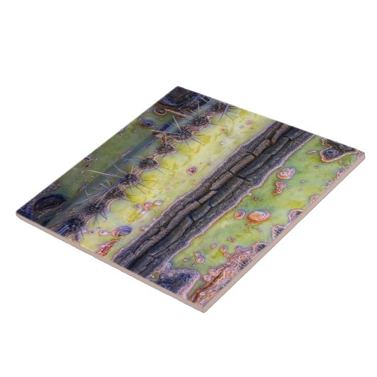 Cactus Macro Ceramic Tile Tegeltje (Zijkant)