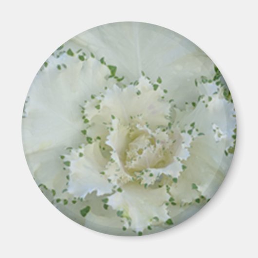 Cactus Magneet (Voorkant)