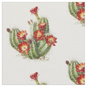 Cactus met rode bloemen stof