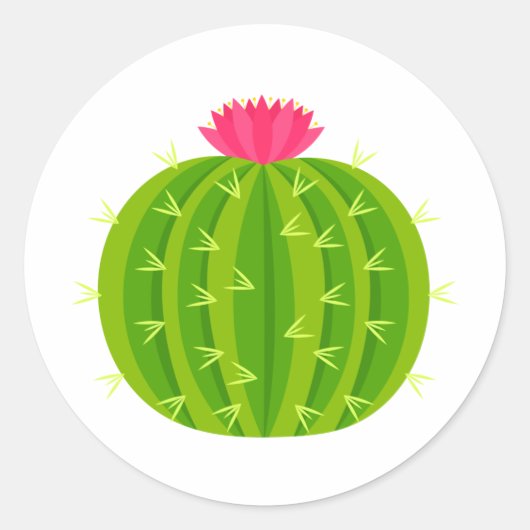 Cactus met Sticker (Voorkant)