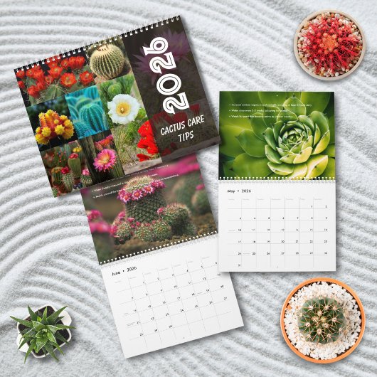 Cactus Monthly Desert Plant Inspiration Kalender