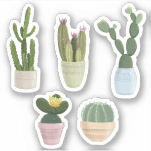 Cactus Natuur Sticker