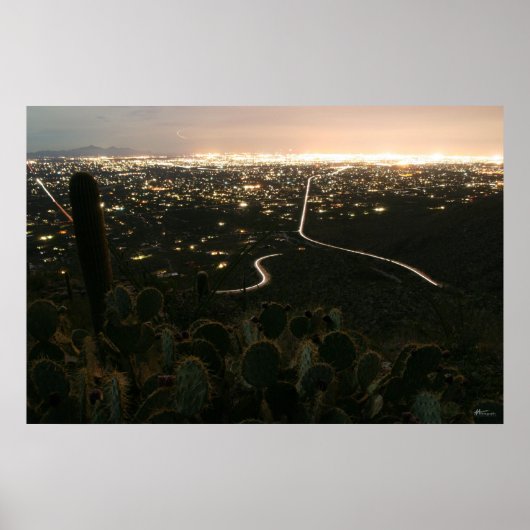 Cactus Night Lights Poster (Voorkant)