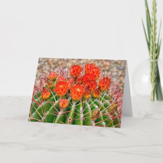 Cactus Notecard - Blooms van Arizona Kaart (Voorkant)