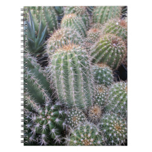 Cactus Notitieboek
