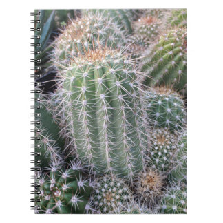 Cactus Notitieboek