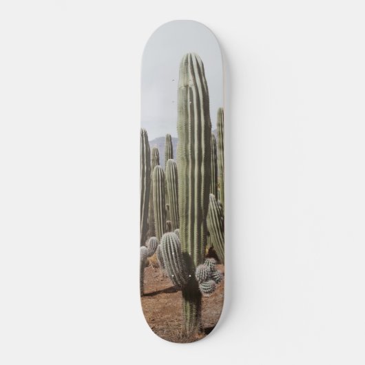 Cactus Oasis #1 #wall #decor #art Skateboard (Voorkant)