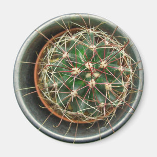 Cactus op Fridge Magneet