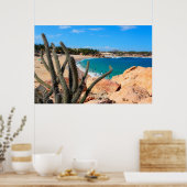 Cactus op Rocky Hilltop over Sandy Beach Poster (Keuken)