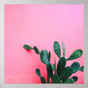 Cactus op roze achtergrond poster