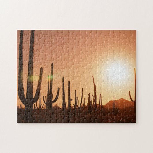 Cactus op woestijn legpuzzel (Horizontaal)