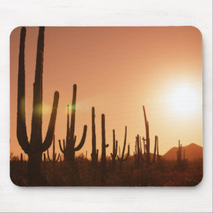 Cactus op woestijn muismat
