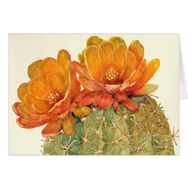 Cactus Oranje bloesems (Voorkant Horizontaal)