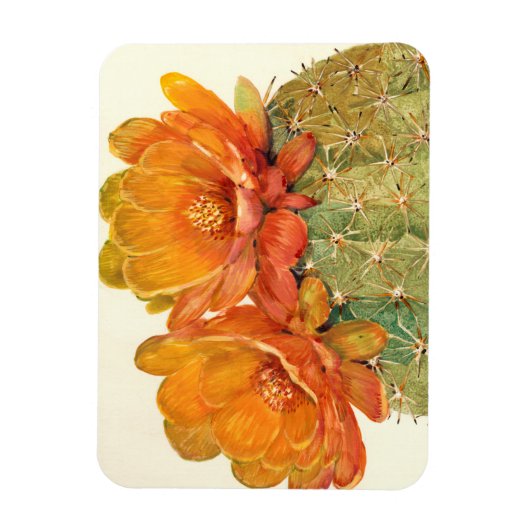 Cactus Oranje bloesems Magneet (Verticaal)